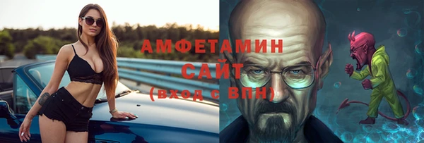 стаф Алзамай