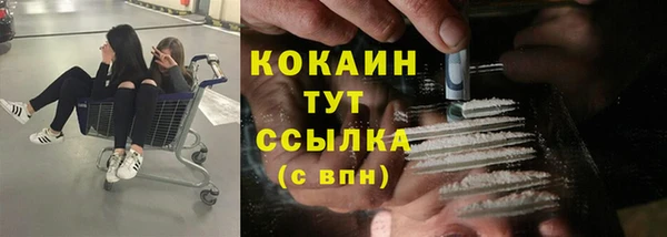 стаф Алзамай