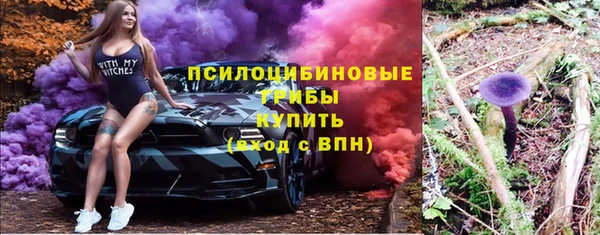 стафф Алексин