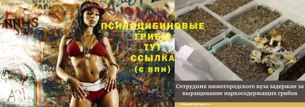 стафф Алексин