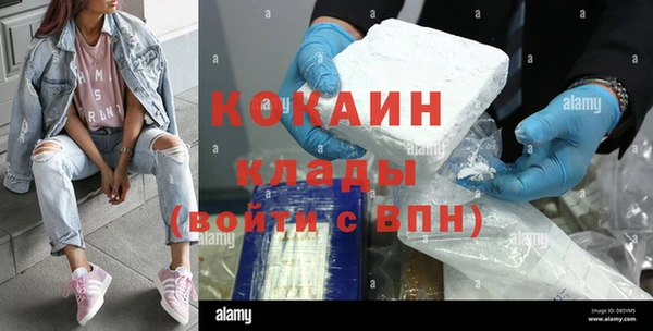 стаф Алзамай