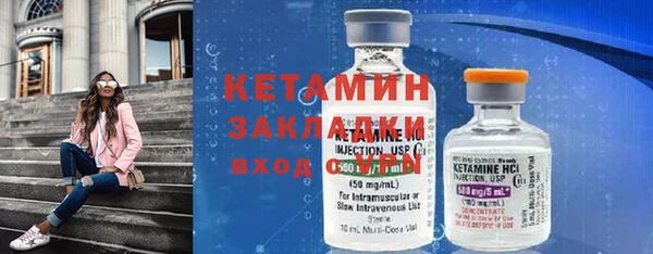 стаф Алзамай